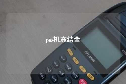 pos机冻结金（pos机冻结金额是什么意思）