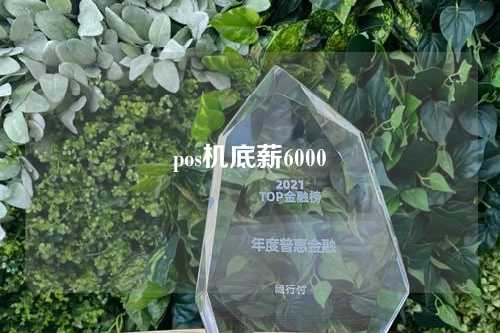 pos机底薪6000（pos机底薪4000是真的吗）