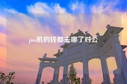 pos机的钱都去哪了对公（pos机的钱都去哪了对公账户）