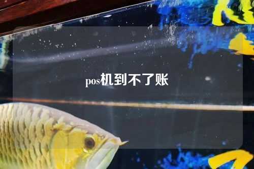 pos机到不了账（pos机到不了账怎么办）