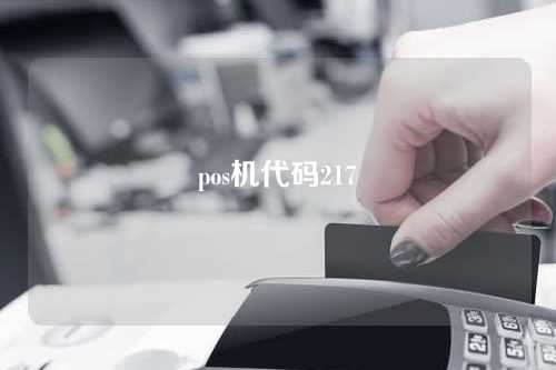 pos机代码217（pos机代码21什么意思）