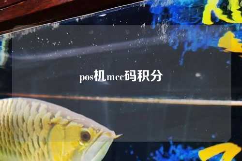 pos机mcc码积分（pos机 mcc码）