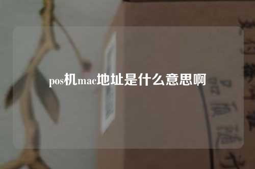 pos机mac地址是什么意思啊（pos机mac地址在哪里）