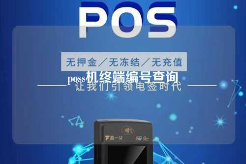 poss机终端编号查询（pos机终端编号在哪里查询）