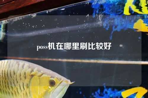 poss机在哪里刷比较好（poss机在哪里刷比较好用）