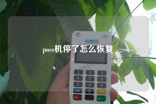 poss机停了怎么恢复（poss机停机了怎么办）