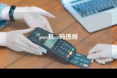 poss机sn码违规（pos机sn码被别人知道怎么办）