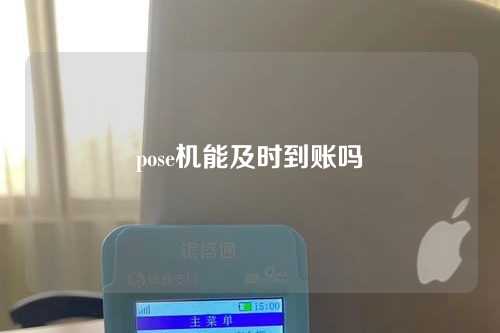 pose机能及时到账吗（pose机多久能到账）