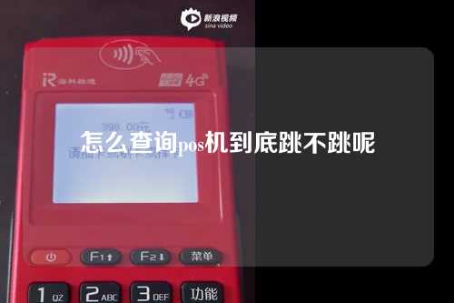 怎么查询pos机到底跳不跳呢（怎么查询pos机跳不跳码）