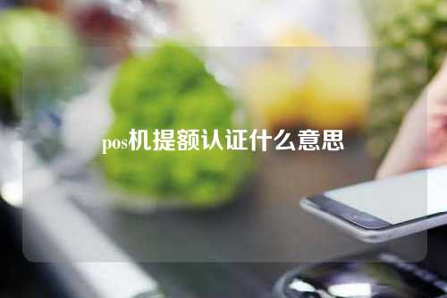 pos机提额认证什么意思（pos机提额认证什么意思啊）