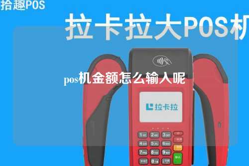 pos机金额怎么输入呢（pos机金额怎么输入呢图片）