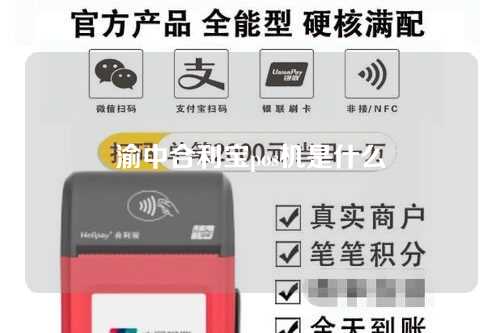 渝中合利宝pos机是什么（渝中合利宝pos机是什么公司）