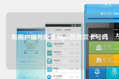 有商户编号能查询pos机收款卡号吗（有商户编号能查询pos机收款卡号吗安全吗）