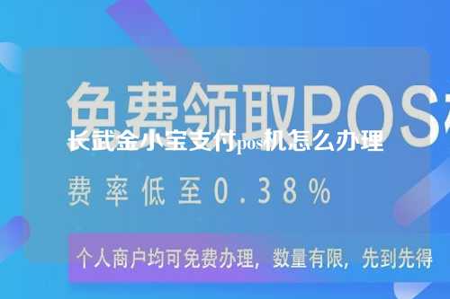 长武金小宝支付pos机怎么办理（长武金小宝支付pos机怎么办理的）