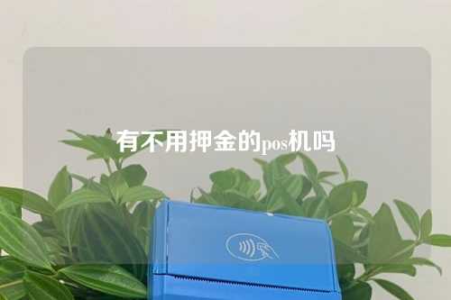 有不用押金的pos机吗（有不用押金的pos机吗安全吗）