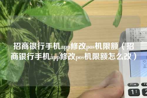 招商银行手机app修改pos机限额（招商银行手机app修改pos机限额怎么改）